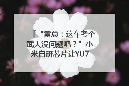 “雷总：这车考个武大没问题吧？”小米自研芯片让YU7会学习｜汽车科技