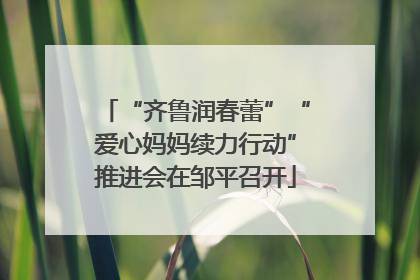 “齐鲁润春蕾”“爱心妈妈续力行动”推进会在邹平召开