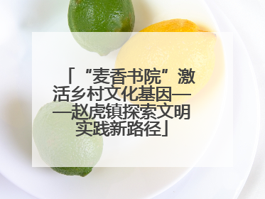 “麦香书院”激活乡村文化基因——赵虎镇探索文明实践新路径