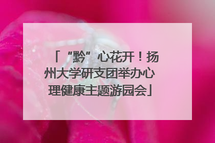 “黔”心花开！扬州大学研支团举办心理健康主题游园会