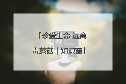 珍爱生命 远离毒蘑菇｜知识窗