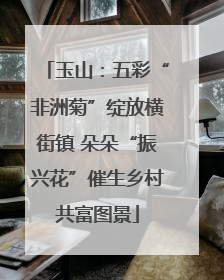 玉山：五彩“非洲菊”绽放横街镇 朵朵“振兴花”催生乡村共富图景