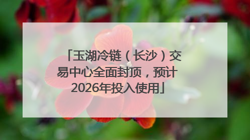 玉湖冷链（长沙）交易中心全面封顶，预计2026年投入使用