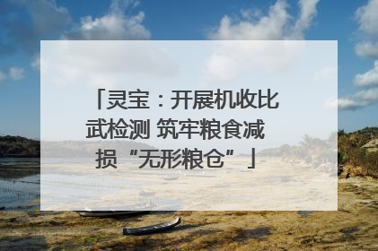 灵宝：开展机收比武检测 筑牢粮食减损“无形粮仓”