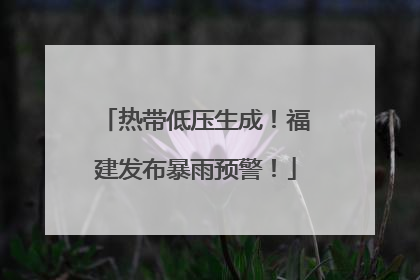 热带低压生成！福建发布暴雨预警！