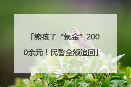 熊孩子“氪金”2000余元！民警全额追回