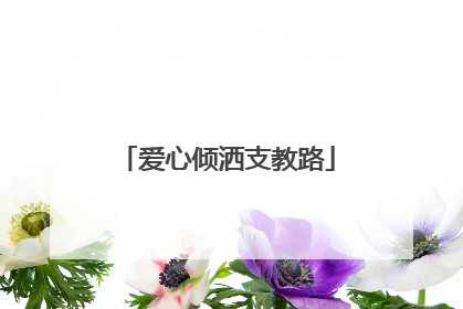 爱心倾洒支教路