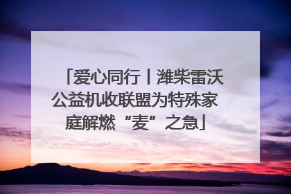 爱心同行丨潍柴雷沃公益机收联盟为特殊家庭解燃“麦”之急