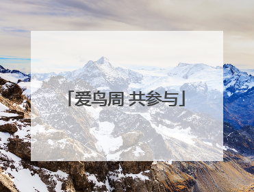 爱鸟周 共参与