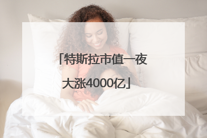 特斯拉市值一夜大涨4000亿