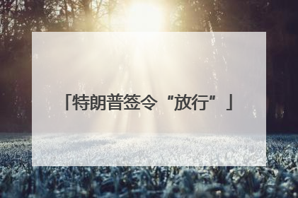特朗普签令“放行”