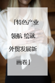 特色产业领航 绘就外贸发展新画卷