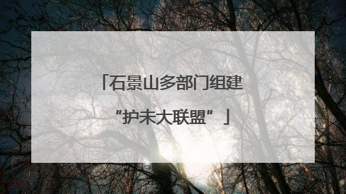 石景山多部门组建“护未大联盟”