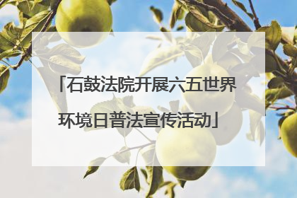 石鼓法院开展六五世界环境日普法宣传活动