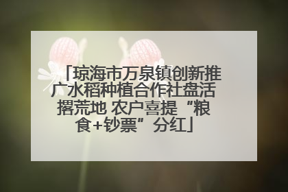 琼海市万泉镇创新推广水稻种植合作社盘活撂荒地 农户喜提“粮食+钞票”分红