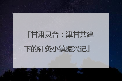 甘肃灵台：津甘共建下的针灸小镇振兴记