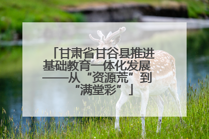 甘肃省甘谷县推进基础教育一体化发展——从“资源荒”到“满堂彩”