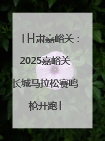 甘肃嘉峪关：2025嘉峪关长城马拉松赛鸣枪开跑
