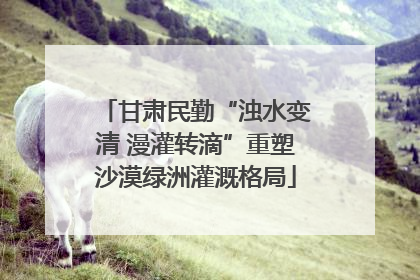 甘肃民勤“浊水变清 漫灌转滴”重塑沙漠绿洲灌溉格局