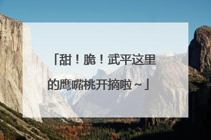 甜！脆！武平这里的鹰嘴桃开摘啦～