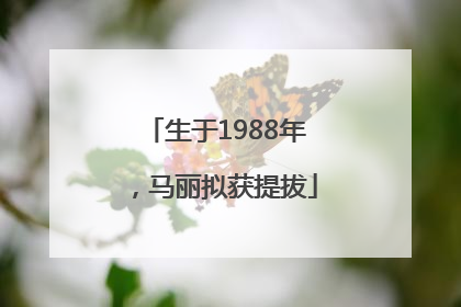 生于1988年，马丽拟获提拔