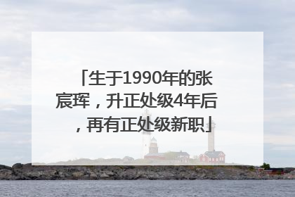 生于1990年的张宸珲，升正处级4年后，再有正处级新职