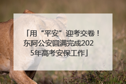 用“平安”迎考交卷！东阿公安圆满完成2025年高考安保工作