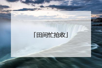 田间忙抢收