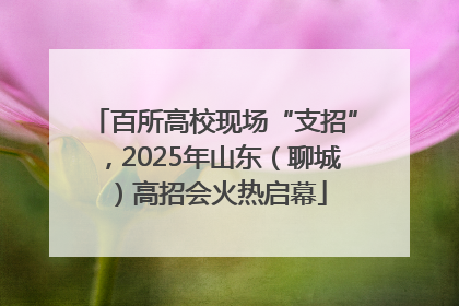 百所高校现场“支招”，2025年山东（聊城）高招会火热启幕