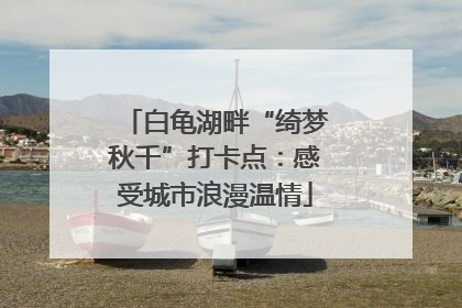 白龟湖畔“绮梦秋千”打卡点：感受城市浪漫温情