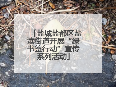 盐城盐都区盐渎街道开展“绿书签行动”宣传系列活动