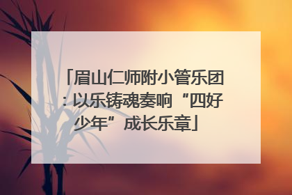 眉山仁师附小管乐团：以乐铸魂奏响“四好少年”成长乐章