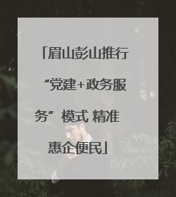 眉山彭山推行“党建+政务服务”模式 精准惠企便民