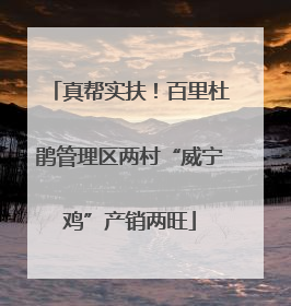 真帮实扶！百里杜鹃管理区两村“威宁鸡”产销两旺