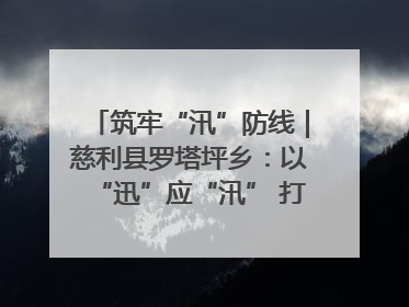 筑牢“汛”防线｜慈利县罗塔坪乡：以“迅”应“汛” 打赢暴雨防御战