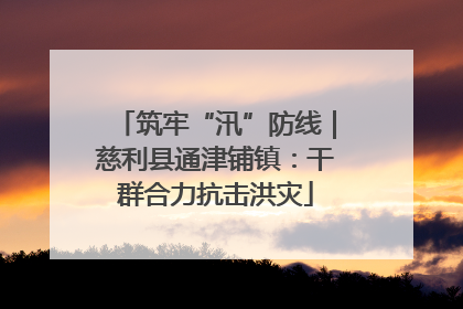筑牢“汛”防线｜慈利县通津铺镇：干群合力抗击洪灾