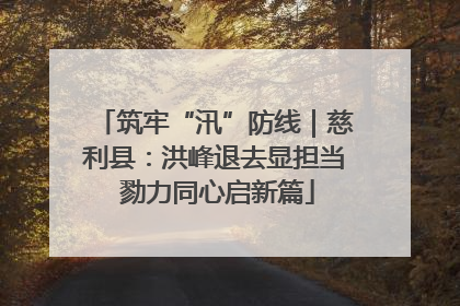 筑牢“汛”防线｜慈利县：洪峰退去显担当 勠力同心启新篇