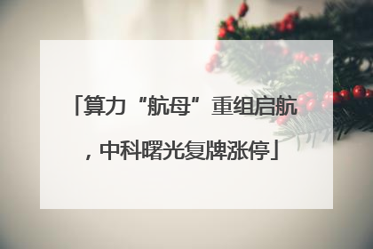 算力“航母”重组启航，中科曙光复牌涨停