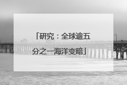 研究：全球逾五分之一海洋变暗