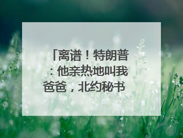离谱！特朗普：他亲热地叫我爸爸，北约秘书长：我没有