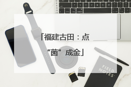 福建古田：点“菌”成金