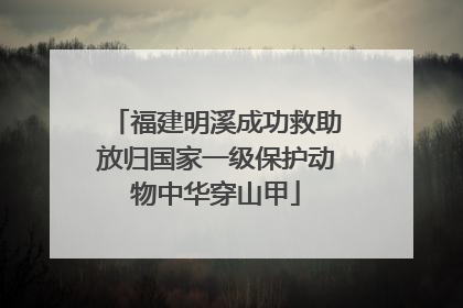 福建明溪成功救助放归国家一级保护动物中华穿山甲