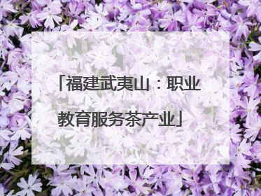 福建武夷山：职业教育服务茶产业