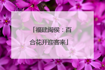 福建闽侯：百合花开迎客来