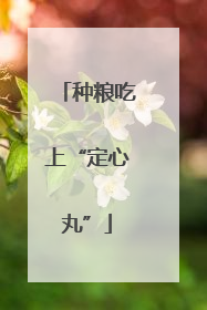 种粮吃上“定心丸”