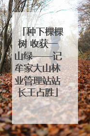 种下棵棵树 收获一山绿——记牟家大山林业管理站站长王占胜