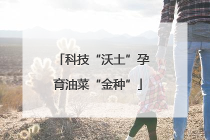 科技“沃土”孕育油菜“金种”