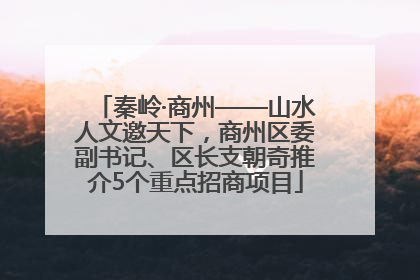 秦岭·商州——山水人文邀天下，商州区委副书记、区长支朝奇推介5个重点招商项目
