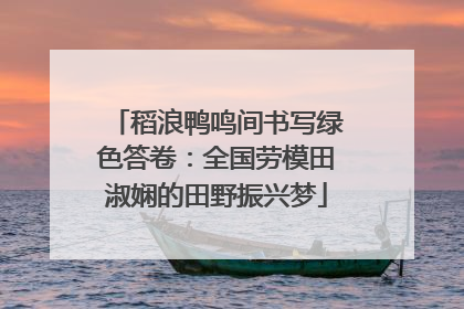 稻浪鸭鸣间书写绿色答卷：全国劳模田淑娴的田野振兴梦