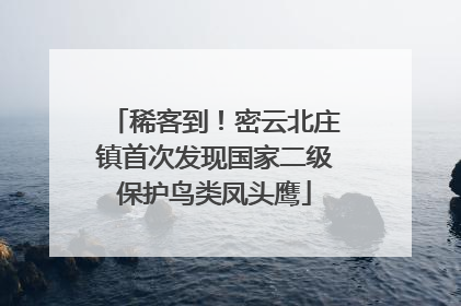 稀客到！密云北庄镇首次发现国家二级保护鸟类凤头鹰